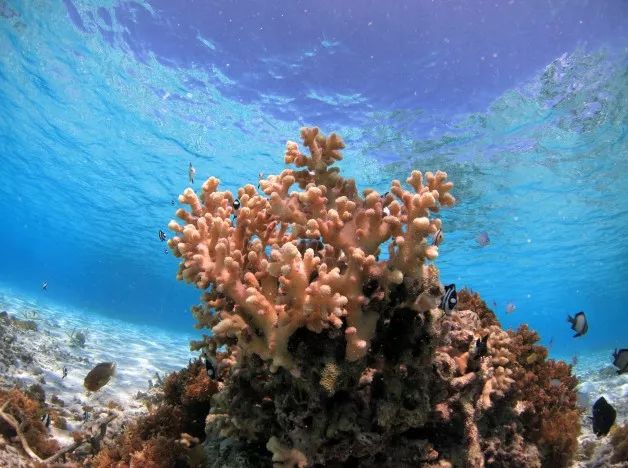 这个冬天来威海玩雪吧,冲绳出海看鲸鱼的季节