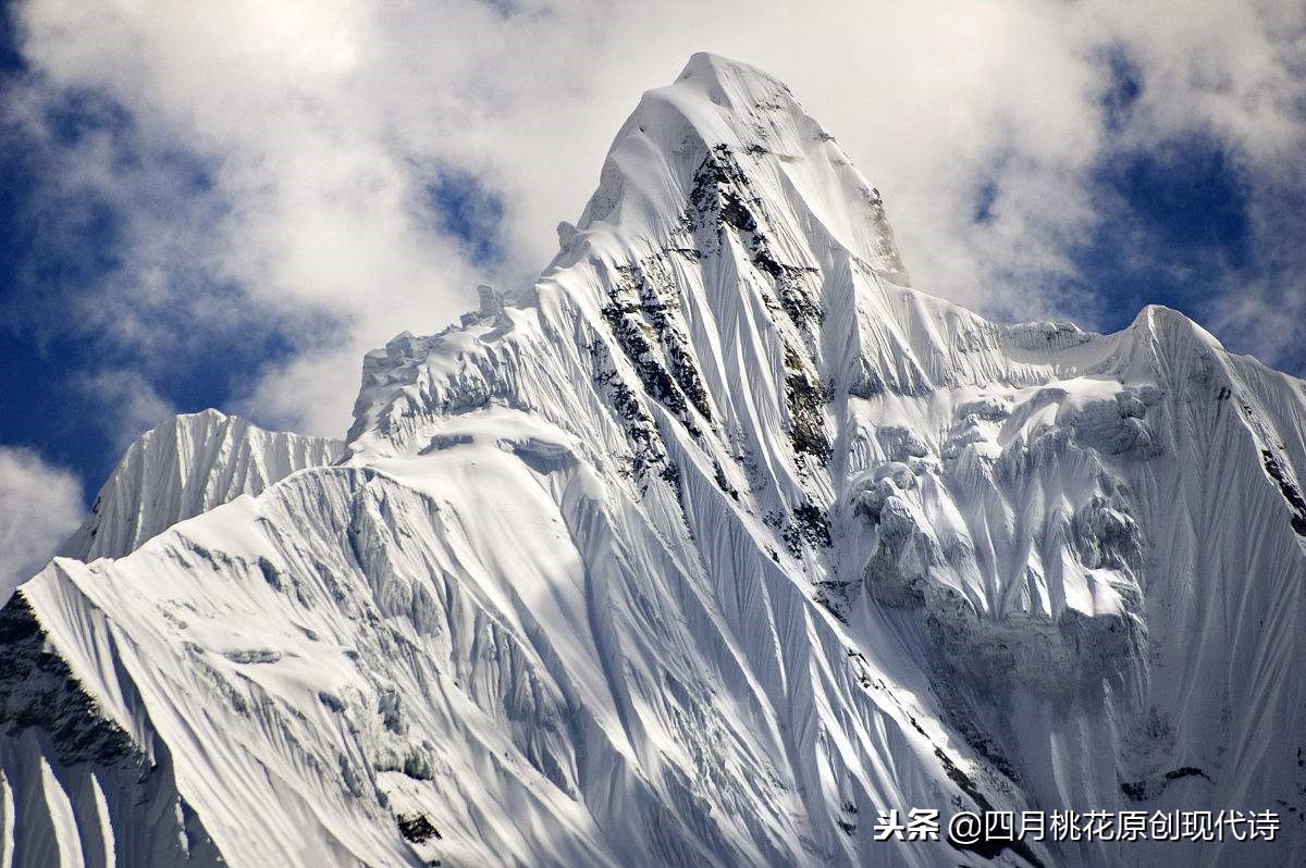 表达对故乡大海的眷恋的现代诗,对大海的眷恋的短现代诗