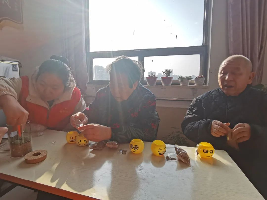 园艺种植小组活动,多彩活动健康成长