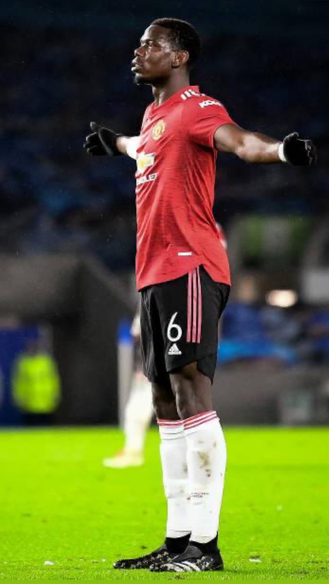 法国队博格巴格列兹曼,法国队的博格巴