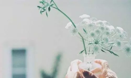 远离你身边的老实人深度好文,远离低级的人深度好文