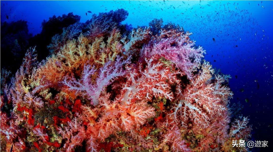 泰国看日落最好的地方,来泰国旅游景区