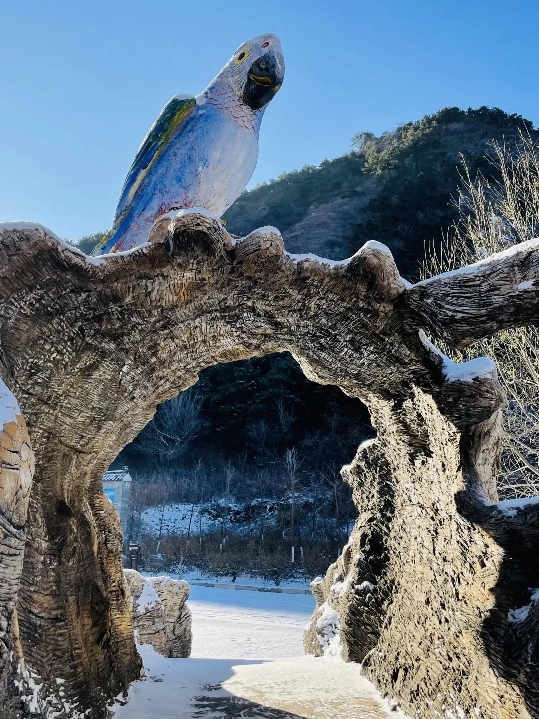 宛如仙境的景点,犹如仙境般的雪景