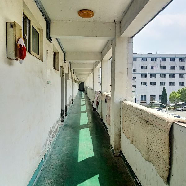 国企中恒集团有限公司,中恒集团信息科技有限公司