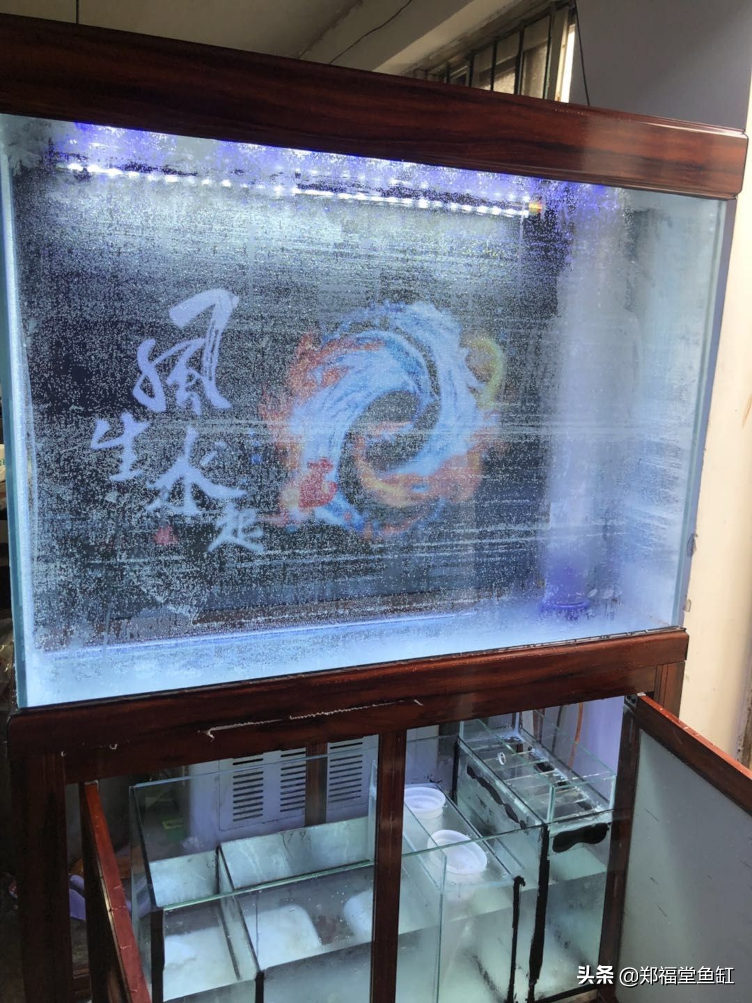 鱼缸行业,鱼缸行业赚钱吗