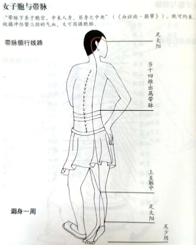 奇恒之腑的解释,奇恒之腑是指哪