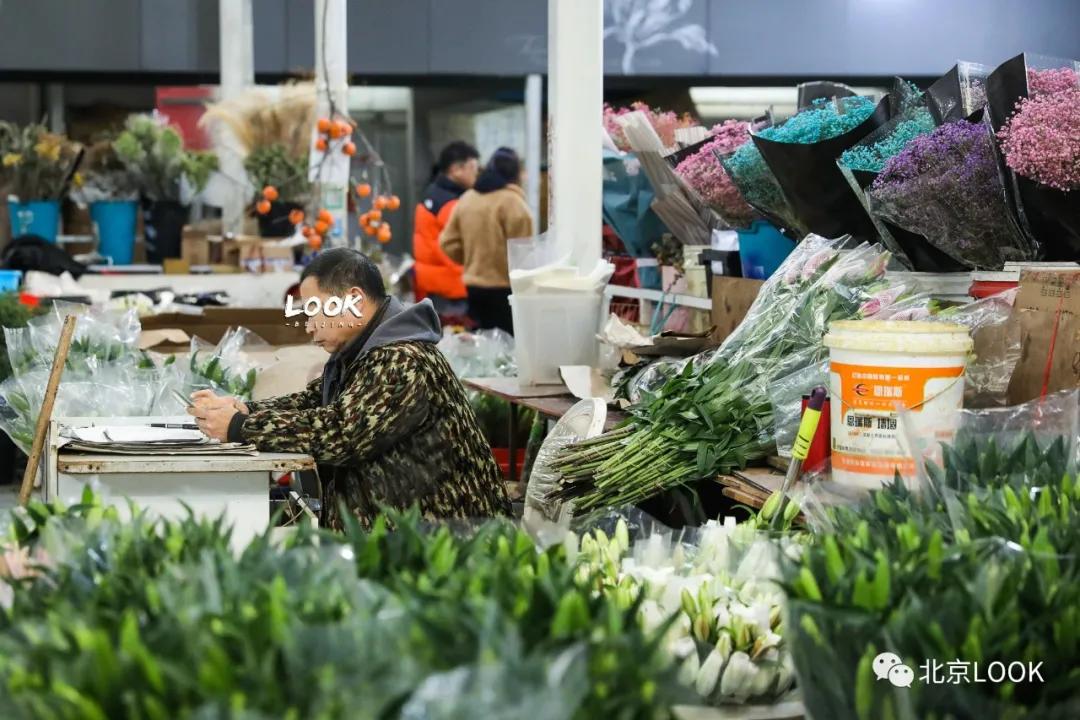 北京最大的露天花卉,北京最大的花卉大观园