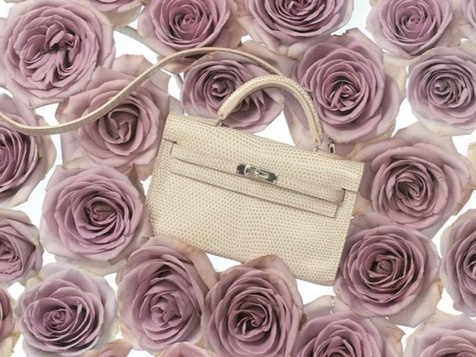 鍚嶅獩鍖卨ogo,椤剁骇鍚嶅獩鍖卨ogo