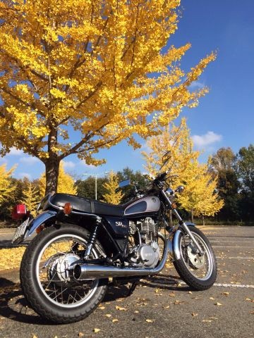 雅马哈xt500越野视频,雅马哈摩托车500cc最新款