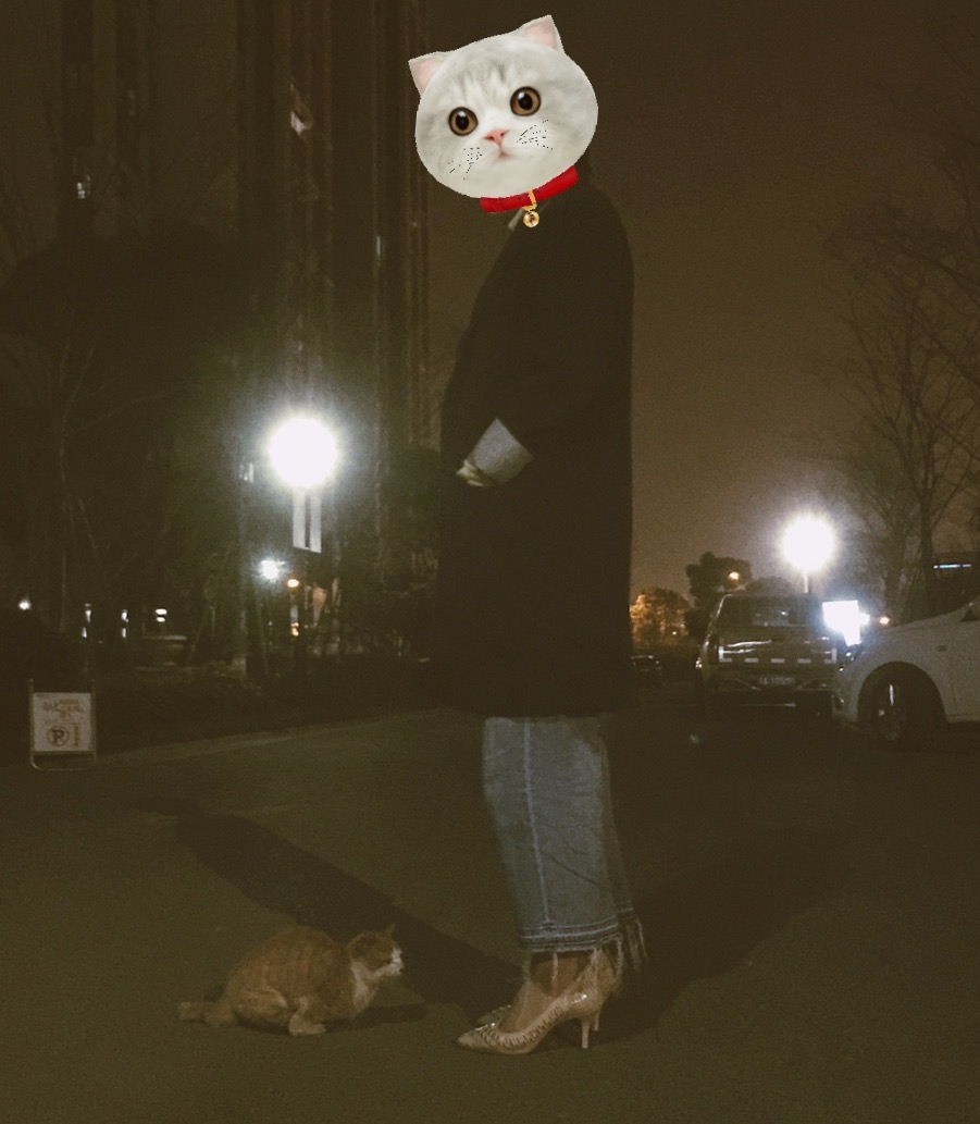 养一只四肢残疾的小猫是种什么经验?