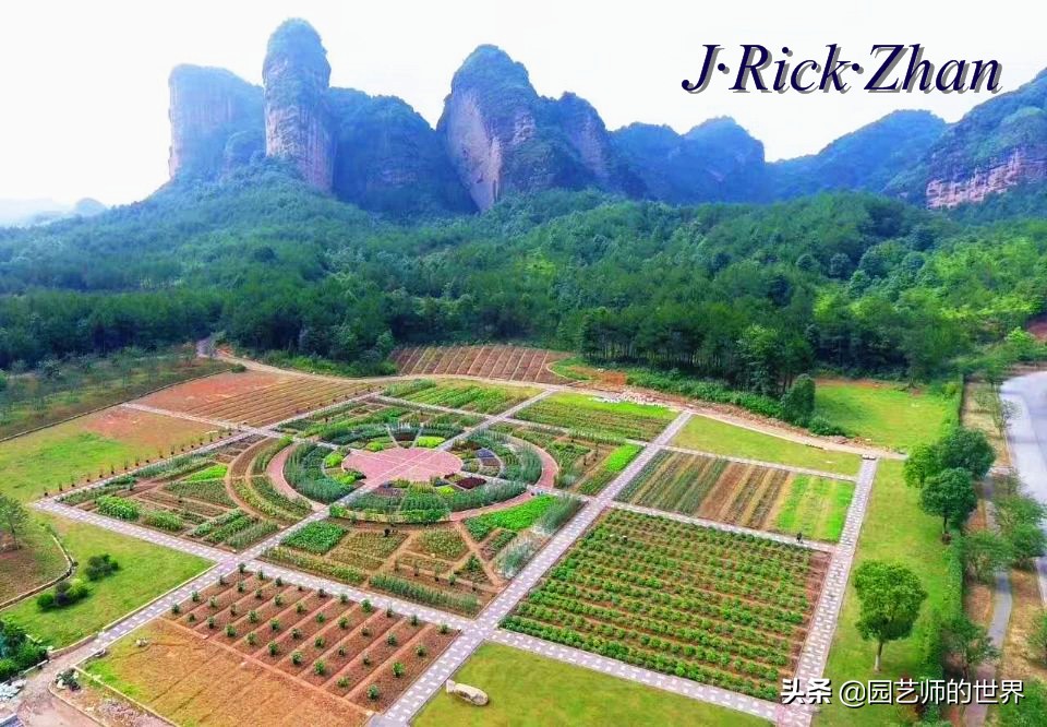 城市蔬菜园景观设计,蔬菜花园造型