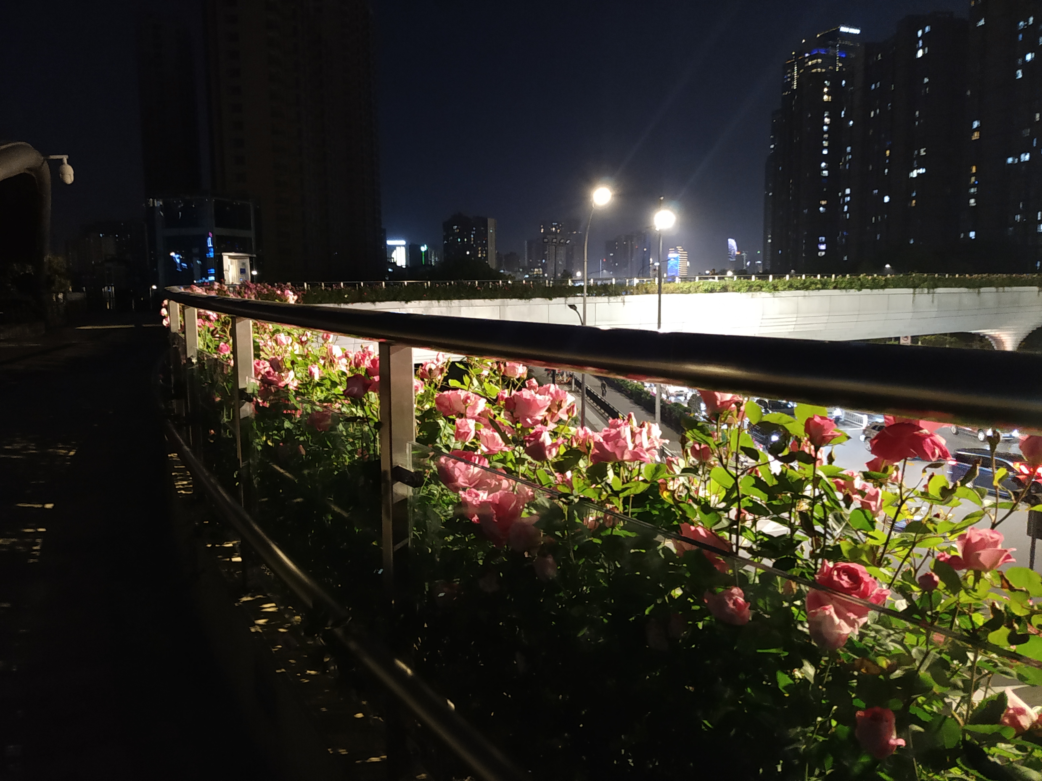 一个旅居者眼中的杭州：似水流年捕捉那四时光阴，美是记得