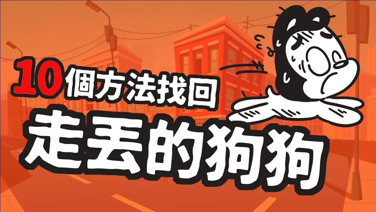 宠物狗走丢了一般怎么找回,在哪里寻找走丢的狗狗最有效