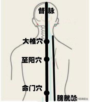 刮痧刮出来的猪油痧是什么,刮痧出红痧是吃啥药调理