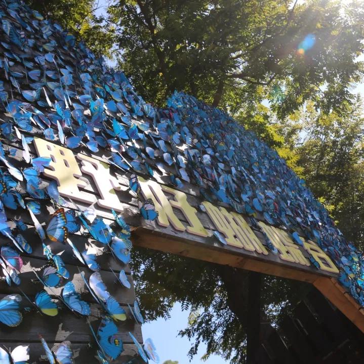 厦门夏令营走进大自然活动,厦门广电研学夏令营