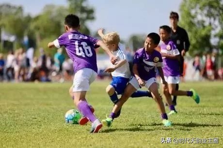 知识城幼儿园,知识城学校