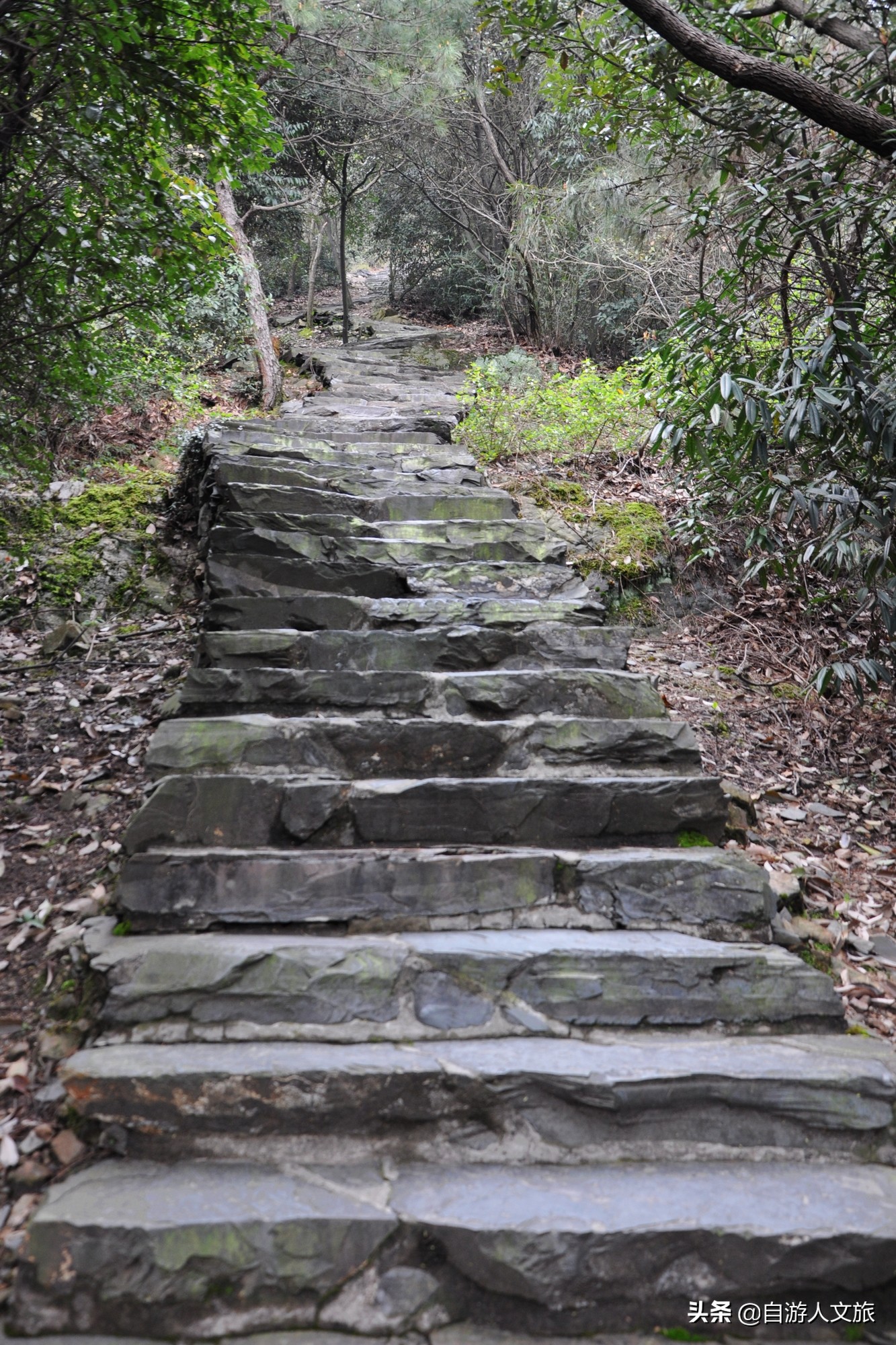 环西湖群山徒步毅行,行走西湖古诗词