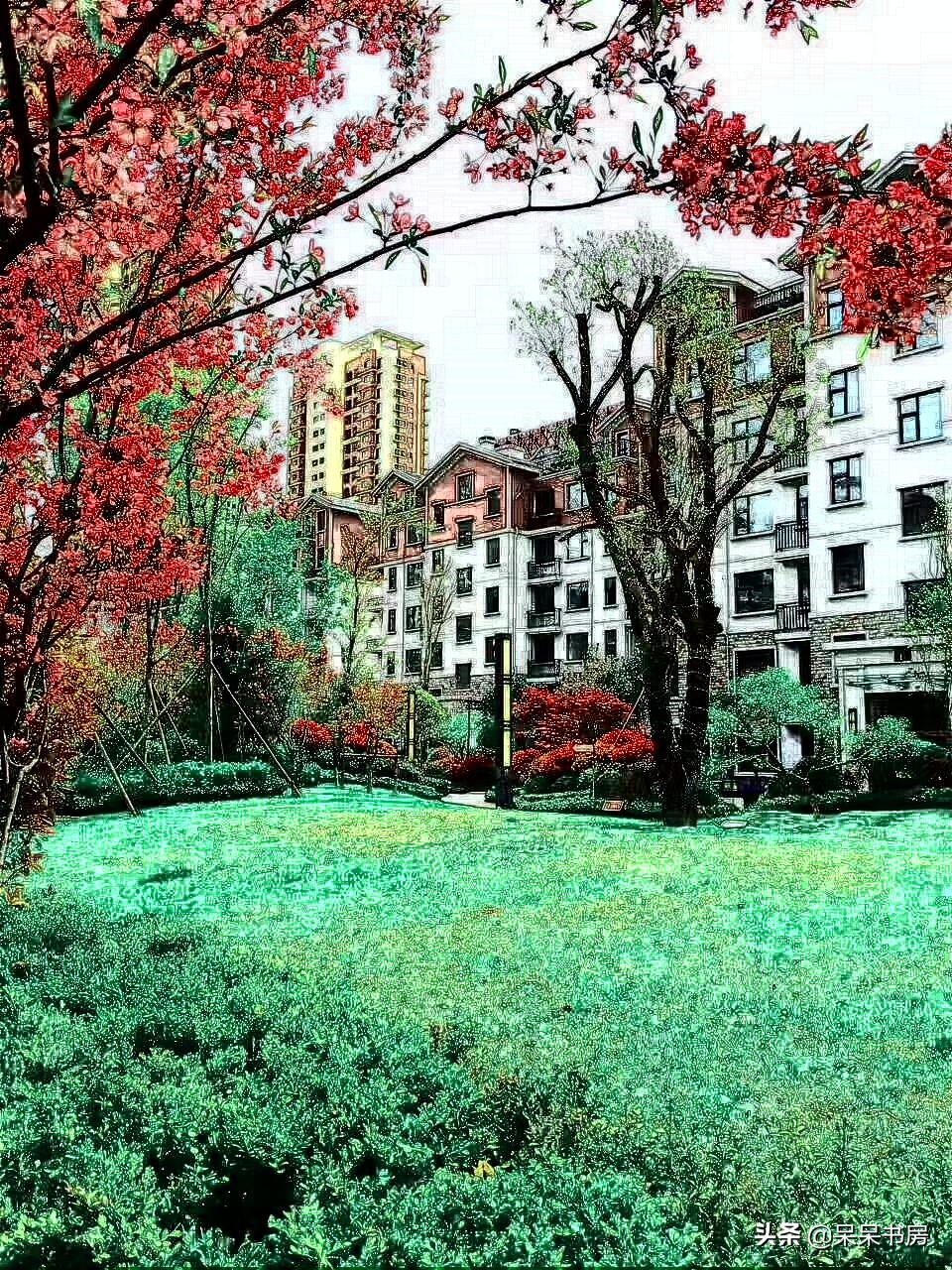 临沂北城小学岔河校区,临沂岔河小学和北城小学哪个好