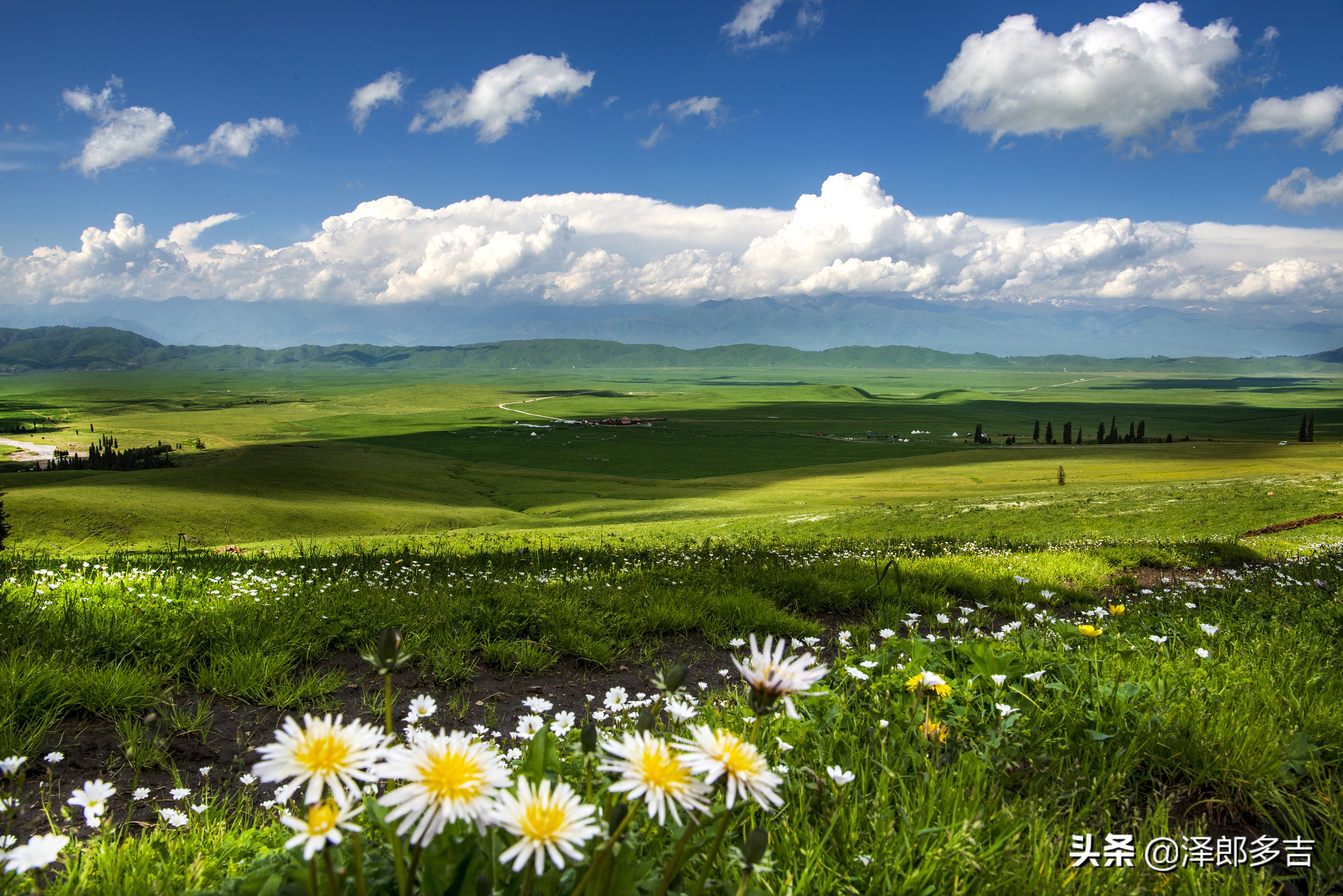 喻林斌摄影作品欣赏：“醉镜”那拉提
