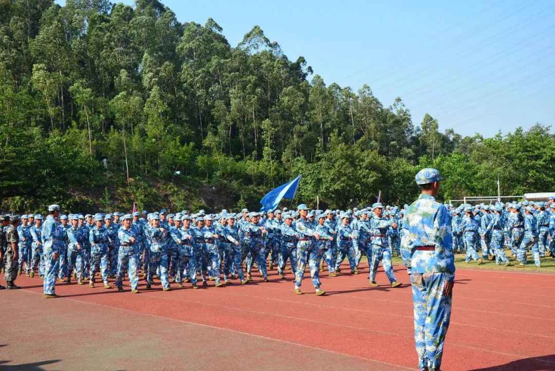 广东高职高考看院校,广州番禺高职高考有什么专业