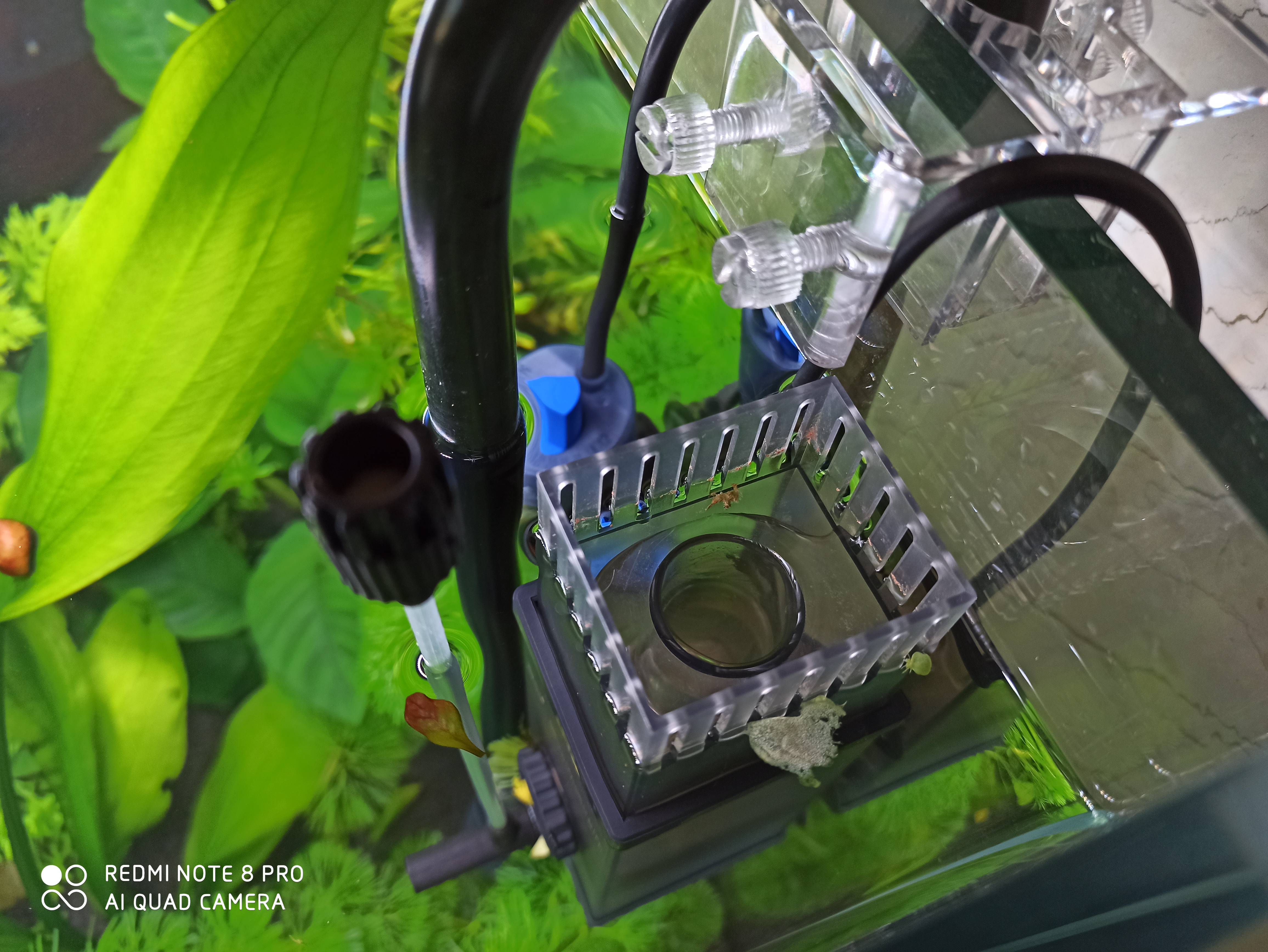 鱼缸水出现大量的泡沫是怎么处理,鱼缸水面有泡沫水质粘稠