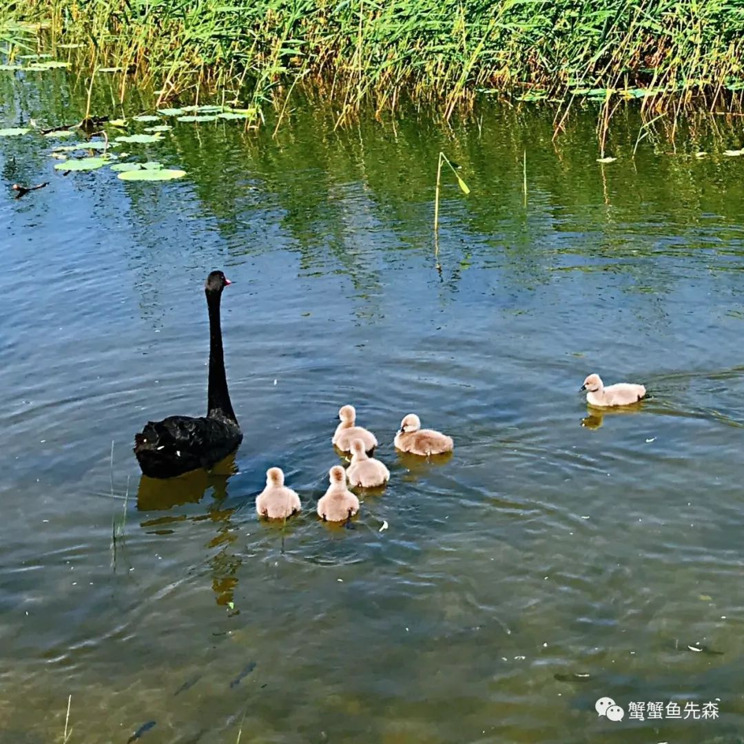 承德到大草原自驾游攻略,北京出发热阿线达达线自驾游攻略