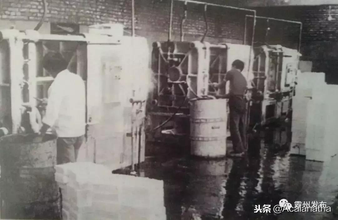 霸州土产公司老照片,霸州老城区图片