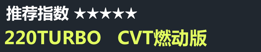 全新一代思域怎么选,追风少年去哪里看