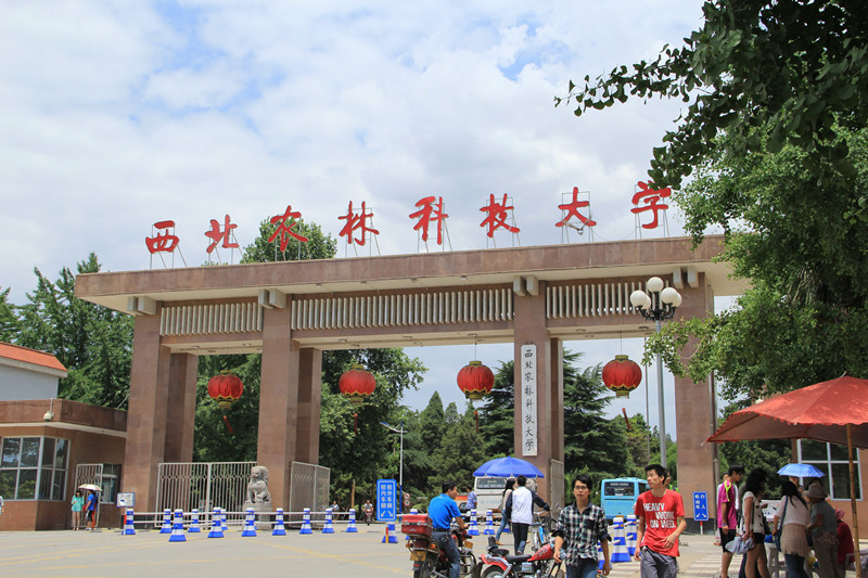 为了去读985，西北农林科技大学值得选择吗？