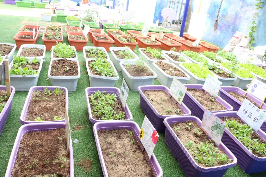 郑州郑上路小学,郑州市中原区郑上路小学