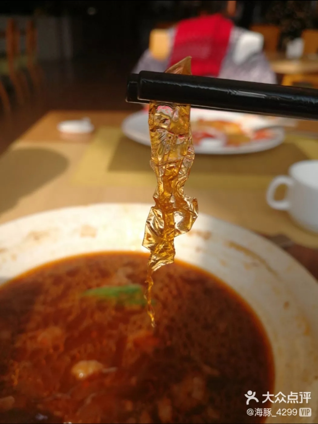 被摘牌的酒店,被摘牌的五星级酒店