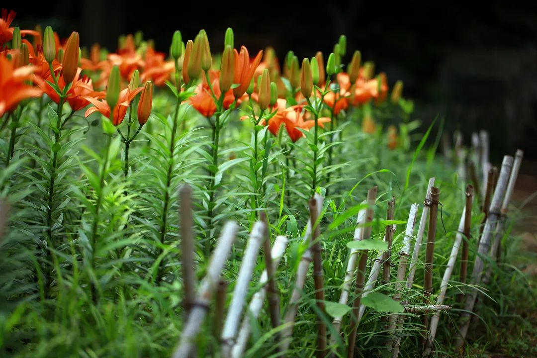 在济南花式避暑,一见“清”心!只需一瞥,便足以把酷夏原谅…