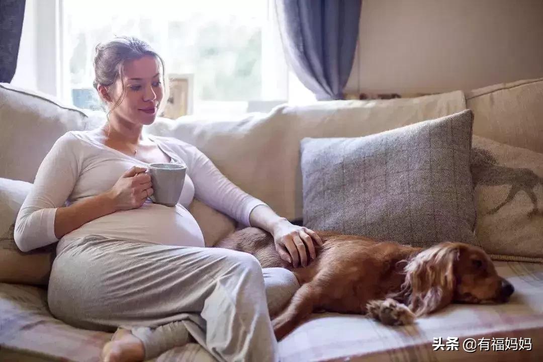 高圆圆40生孩子算高龄产妇吗,40岁高圆圆产后当全职妈妈