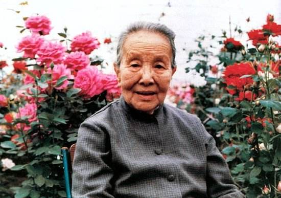 冰心的绝美爱情,冰心的人生故事