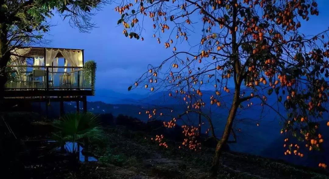 楠溪江的水有多美 (浙江楠溪江风景区怎么样)