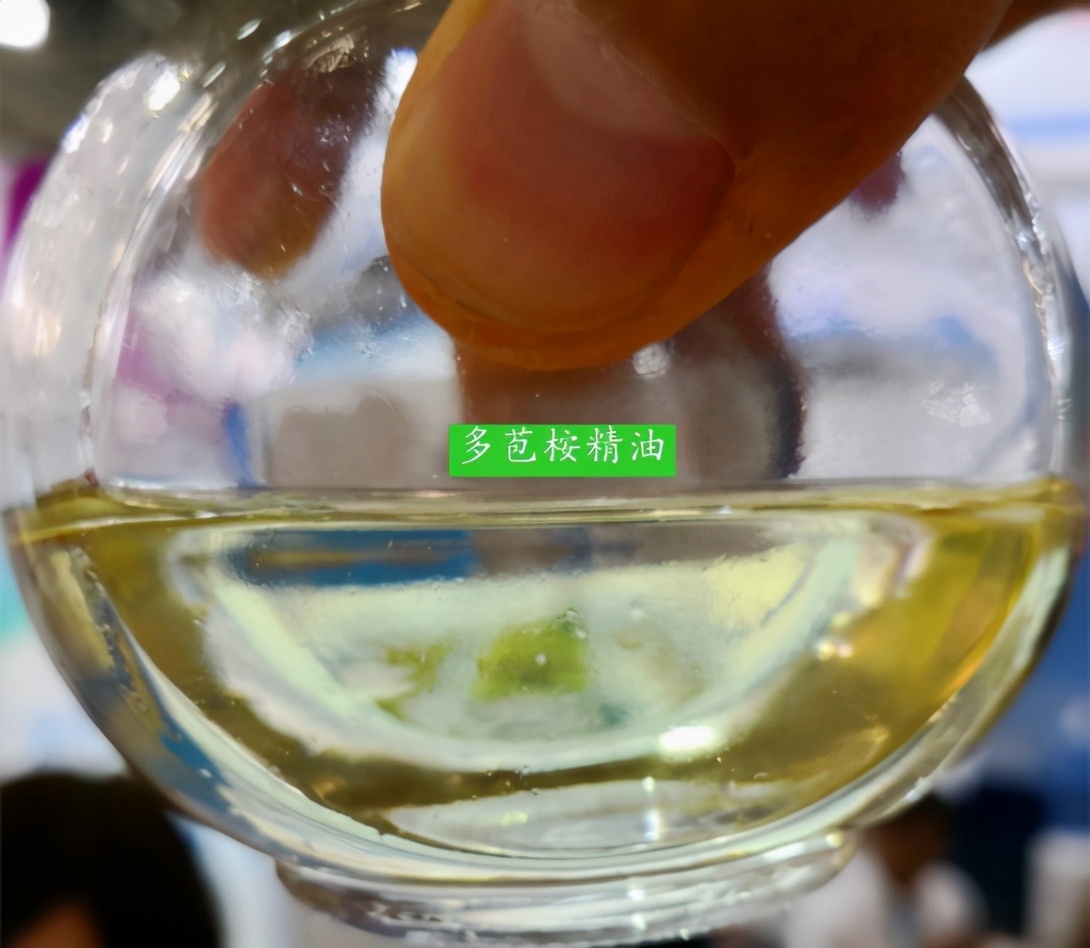 桉树精油杀疥螨,桉树长效抗虫药