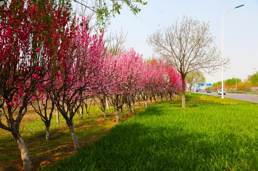 是什么让越来越多的年轻人爱上津南，留在津南！