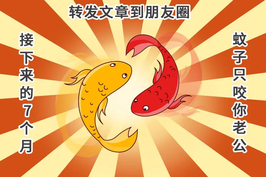 驱蚊产品哪些对猫有害,几种驱蚊成分比较