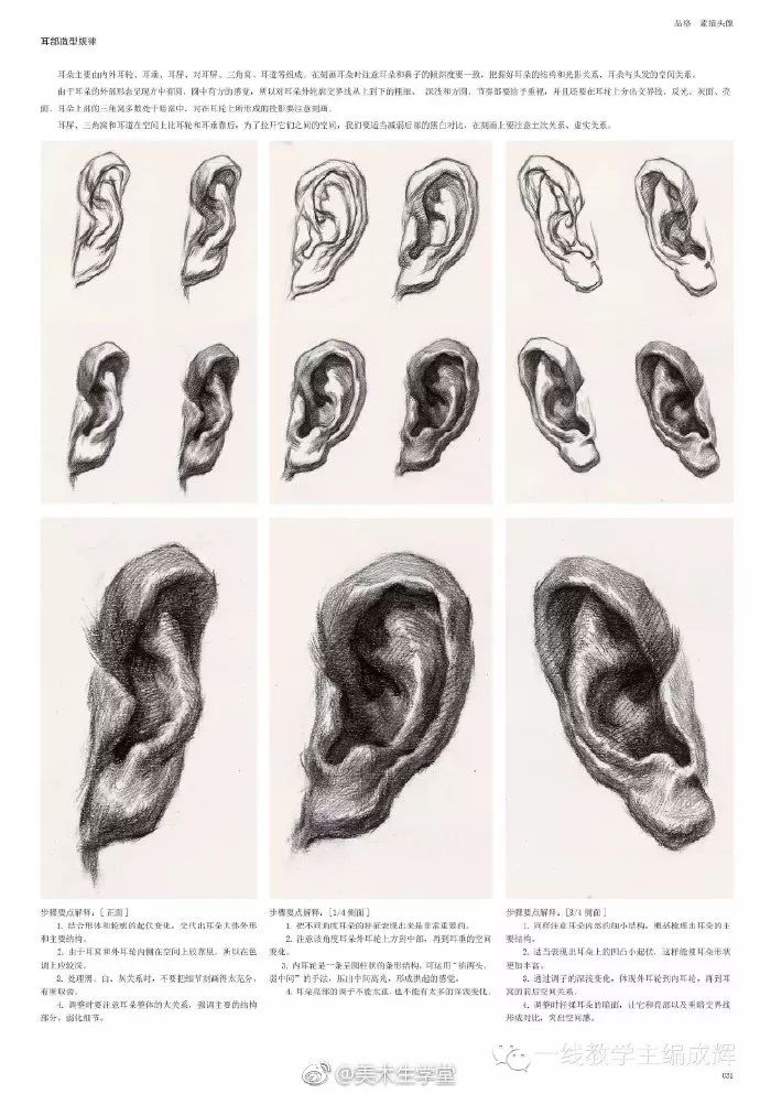 优质素描,优质素描静物