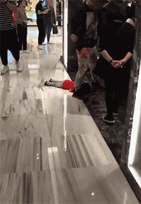 有一匹马不会动了是怎么回事,有一匹马不会动是怎么回事