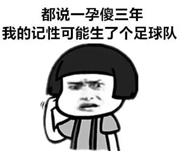 怀孕了还是想养猫猫狗狗怎么办?华西专家:可以养,但绝不能随便养!