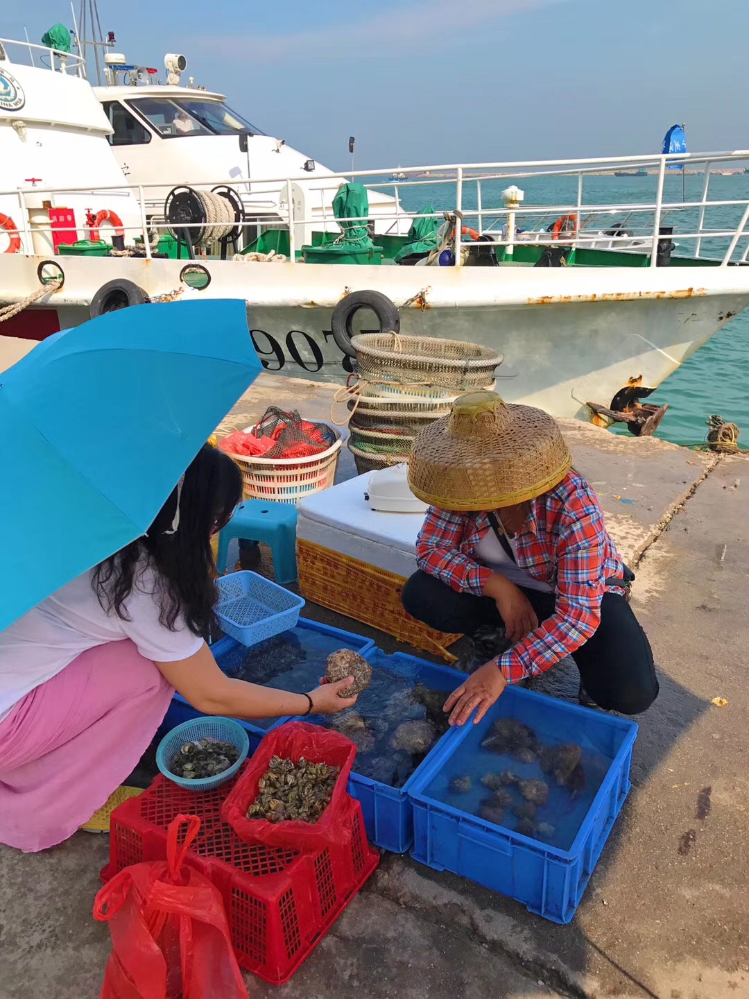 鐝犳捣妗傚北宀涙皯瀹夸环鏍艰〃,鐝犳捣娴峰矝娓告灞卞矝