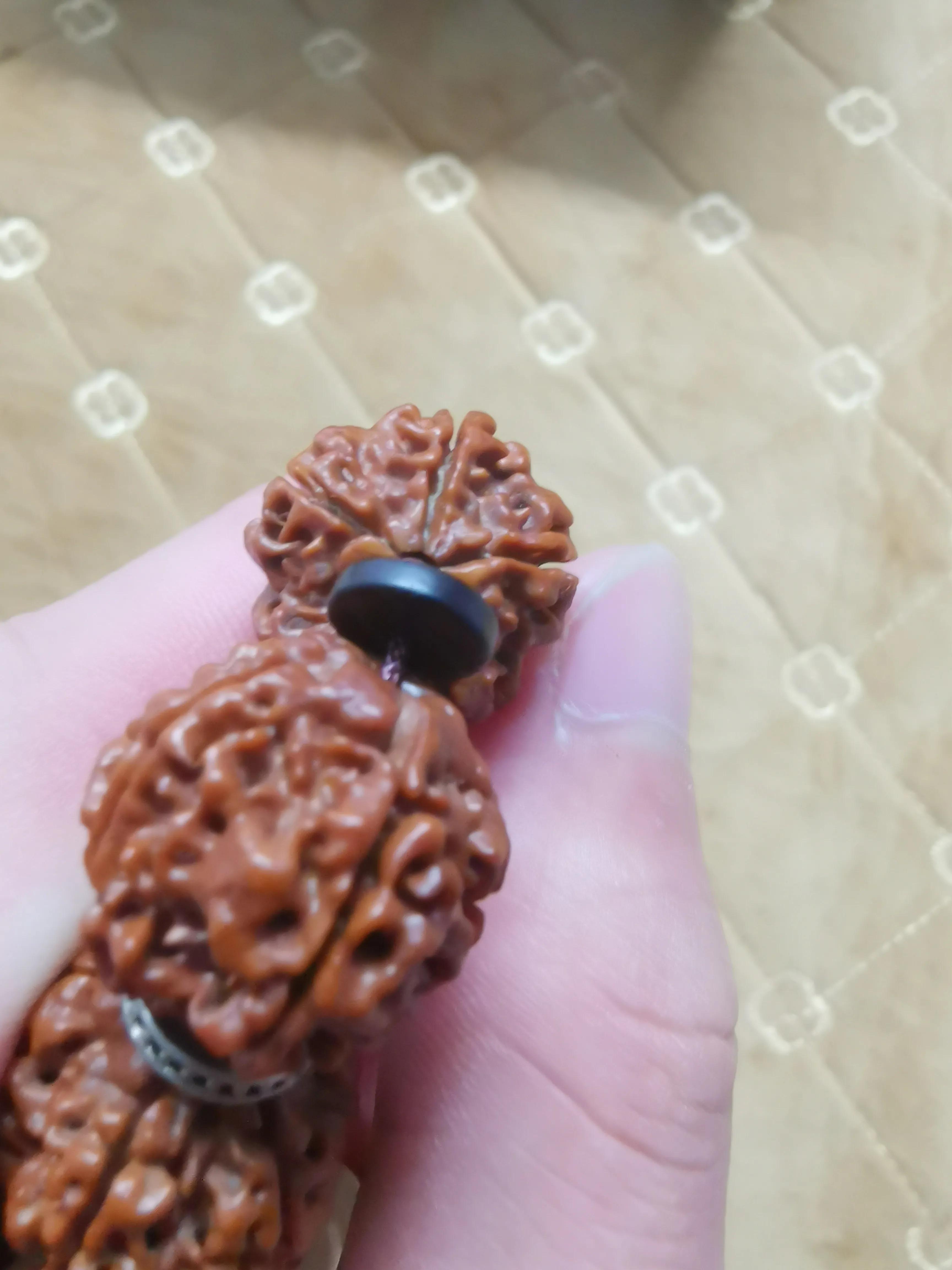 尼泊尔金刚杵 (尼泊尔金刚菩提)