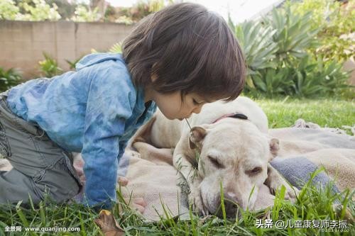婴儿被宠物抓伤怎么处理,被宠物抓伤咬伤后怎么处理