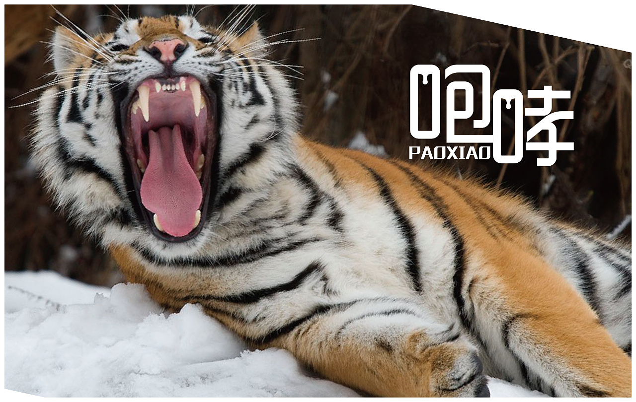 国足拼尽全力不留遗憾,国足条件训练