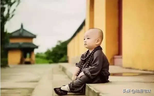 秃顶率最高的十大专业,秃顶率最高的学科是什么