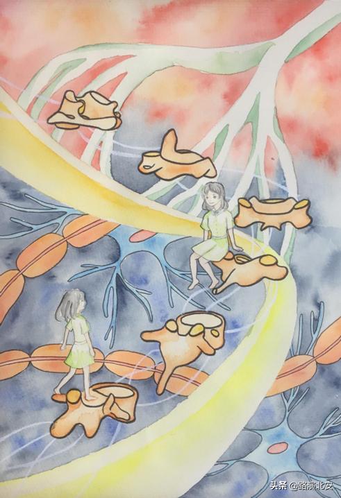 生命的故事绘本视频,生命的故事绘本绘画