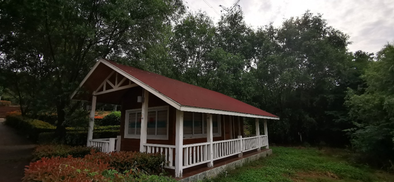 后官湖湿地公园环游,后官湖湿地公园游后感