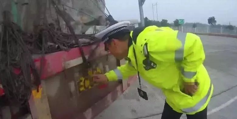 315打假视频,315打假都打哪些