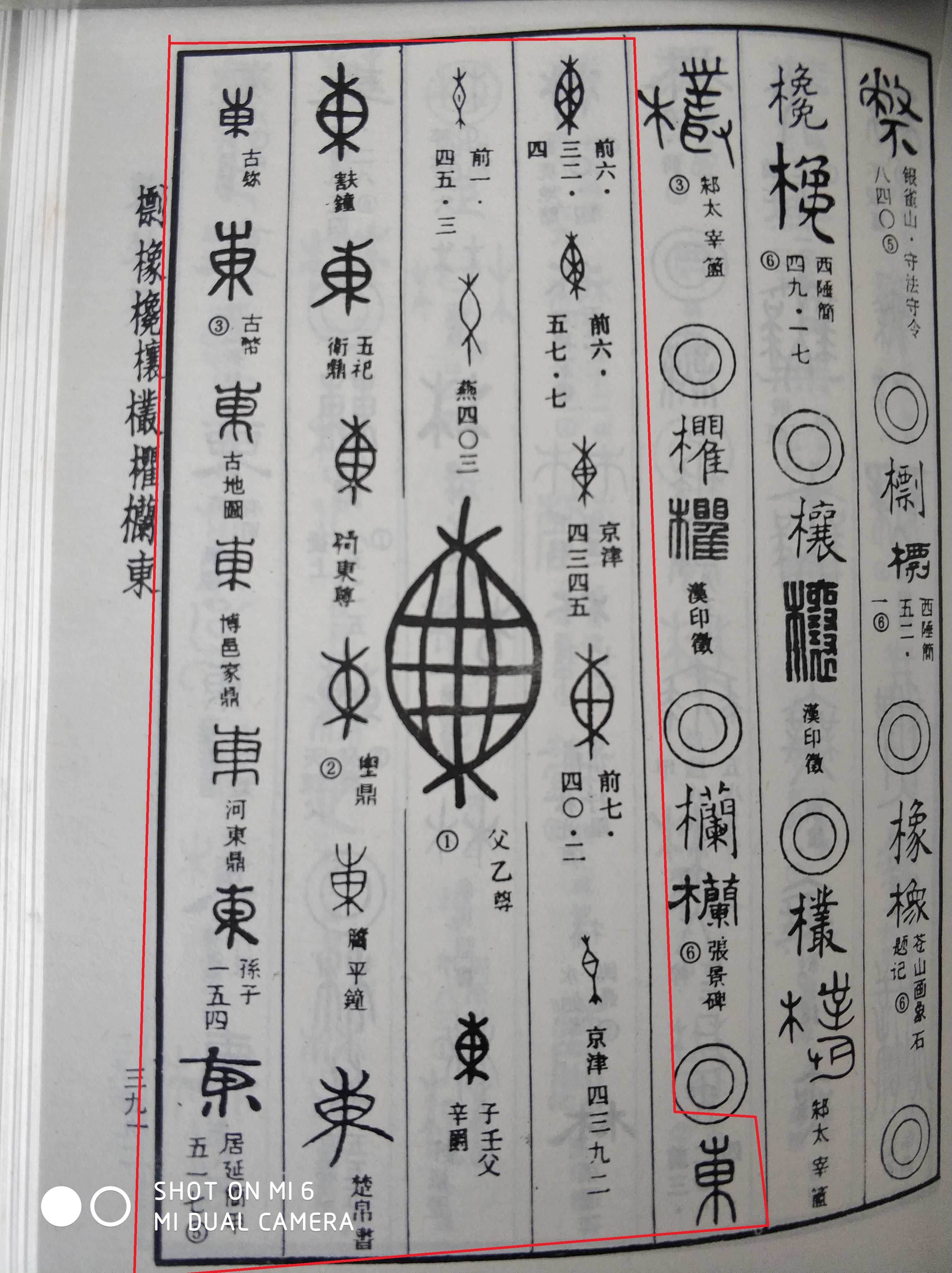 中国龙原型,中国龙的原型是什么